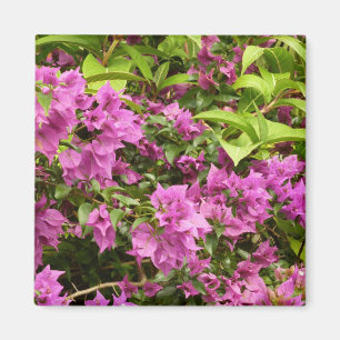 Tropical Purple Bougainvillea Floral Magnet