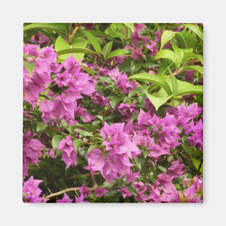 Tropical Purple Bougainvillea Floral Magnet