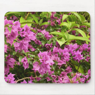 Tropical Purple Bougainvillea Floral Mouse Pad