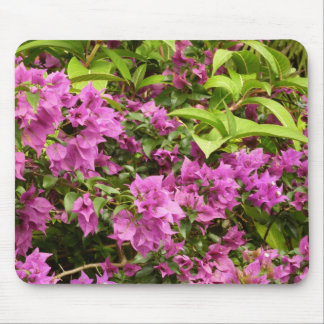 Tropical Purple Bougainvillea Floral Mouse Pad