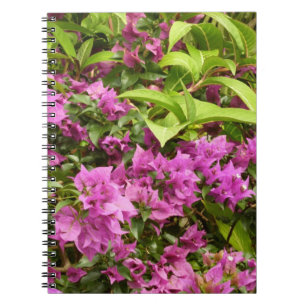 Tropical Purple Bougainvillea Floral Spiral Notebook
