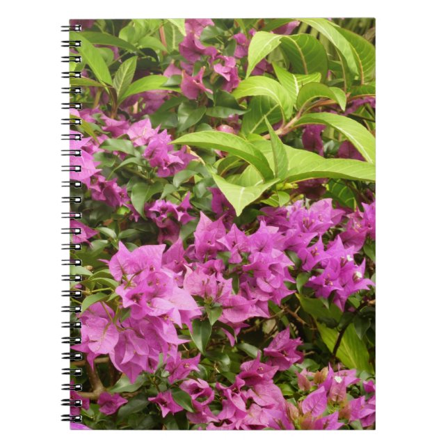 Tropical Purple Bougainvillea Floral Spiral Notebook (Front)