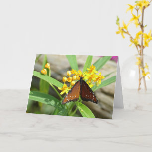 Tropical Queen Butterfly, FL - card