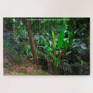 Tropical Rain Forest Grenada Caribbean. Jigsaw Puz Puzzle