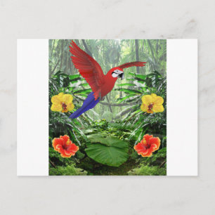 Tropical Rain Forest Postcard