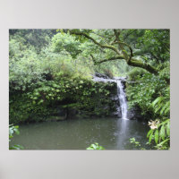Tropical Rain Forest Waterfall