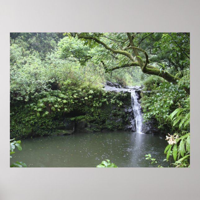 Tropical Rain Forest Waterfall Poster (Front)