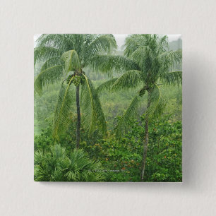 Tropical rainforest 15 cm square badge