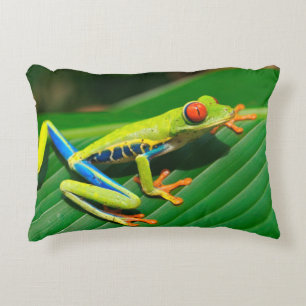 Tropical rainforest green red-eyed tree Frog Decorative Cushion