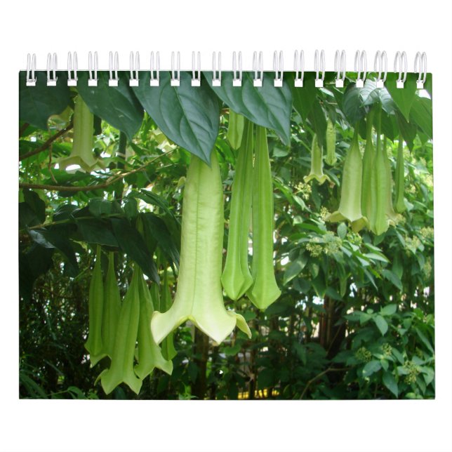 Tropical Rainforest Plants Calendar (Cover)