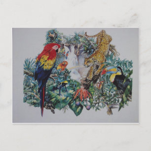 Tropical Rainforest Wildlife Collage Postcard