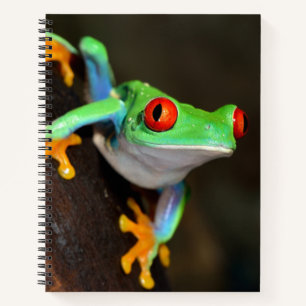 Tropical Red Eye Frog - Agalychnis Callidryas Notebook