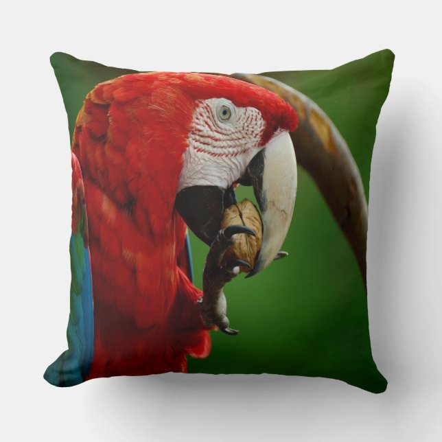 Tropical Red Parrot Cushion (Front)