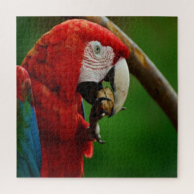 Tropical Red Parrot Jigsaw Puzzle (Vertical)