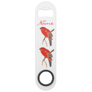 Tropical Red Parrot Thunder_Cove