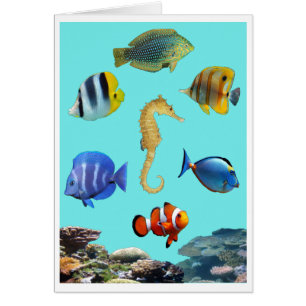 Tropical Reef Card