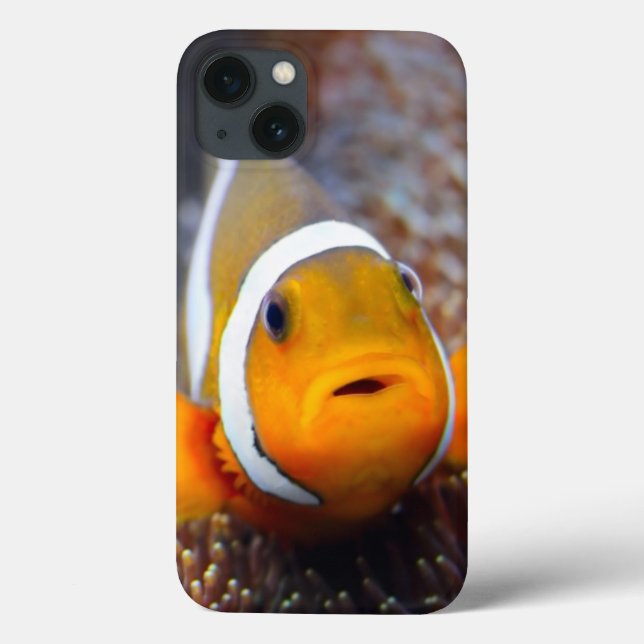 Tropical reef fish - Clownfish Case-Mate iPhone Case (Back)