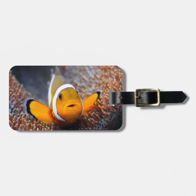 Tropical reef fish - Clownfish Luggage Tag (Front Horizontal)