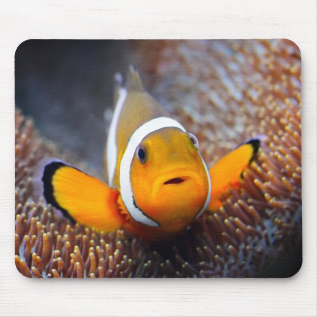 Tropical reef fish - Clownfish Mouse Pad (Front)