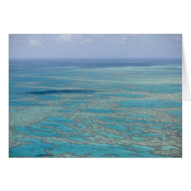 Tropical reef, Great Barrier Reef, Queensland, (Front Horizontal)