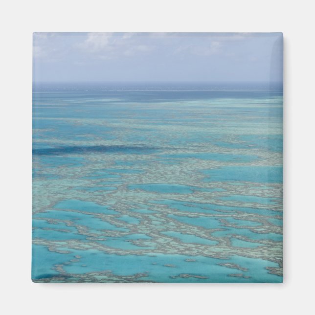 Tropical reef, Great Barrier Reef, Queensland, Magnet (Front)