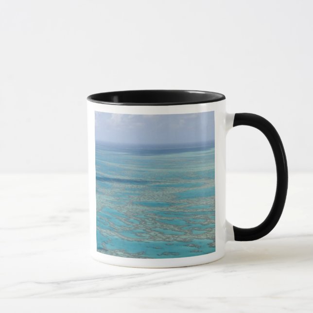 Tropical reef, Great Barrier Reef, Queensland, Mug (Right)