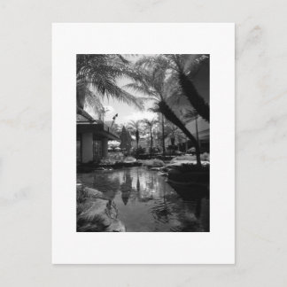 Tropical Reflection Postcard
