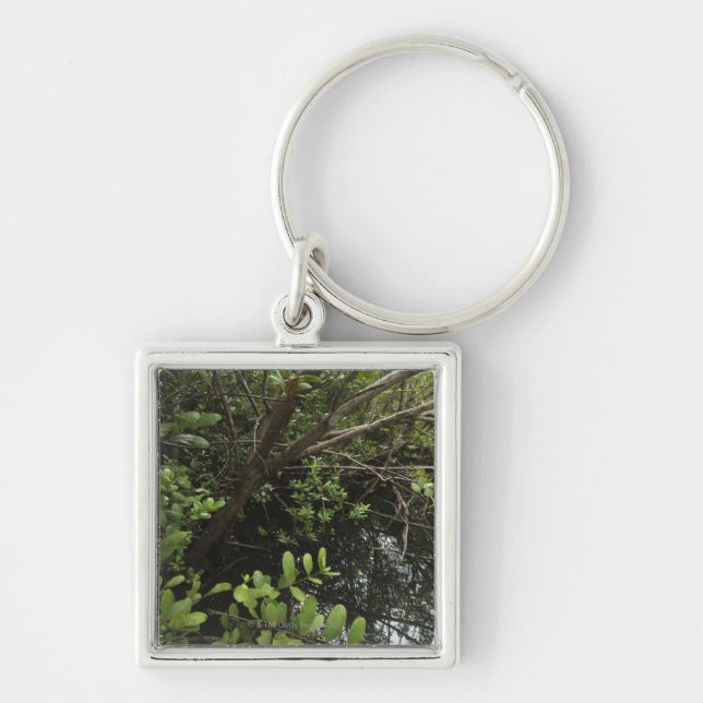 Tropical salt pond key ring (Front)