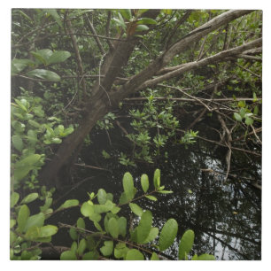 Tropical salt pond tile