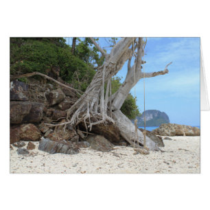 Tropical sandy beach