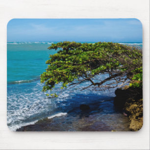 Tropical Scene Mouse Pad
