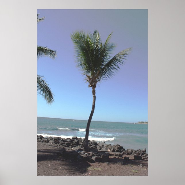 TROPICAL SCENE POSTER (Front)