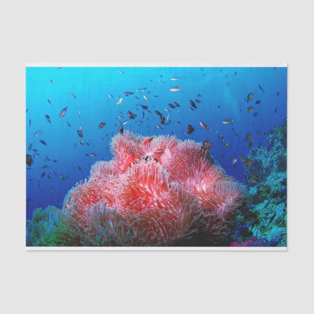 Tropical Sea Life Pink Glowing Anemone Coral Tissue Paper (Front)