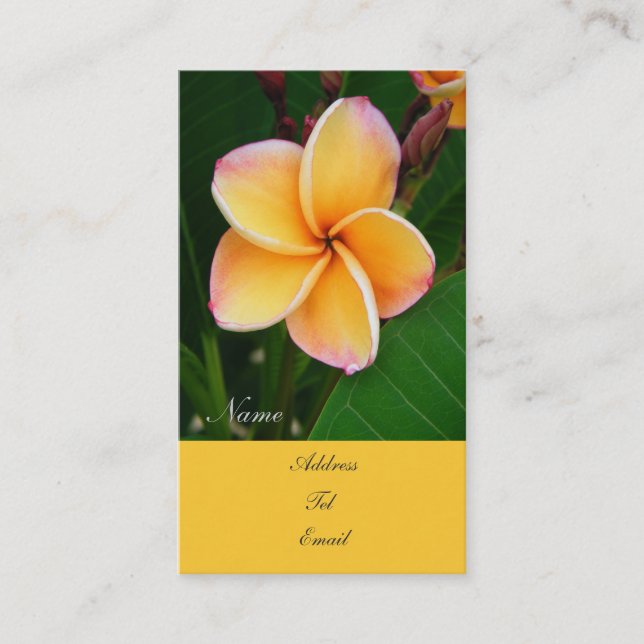 Tropical Senses Business Card (Front)