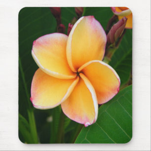 Tropical Senses Mouse Pad