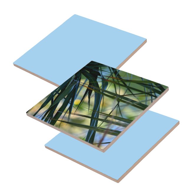 Tropical Shades Tile (Creator Uploaded)