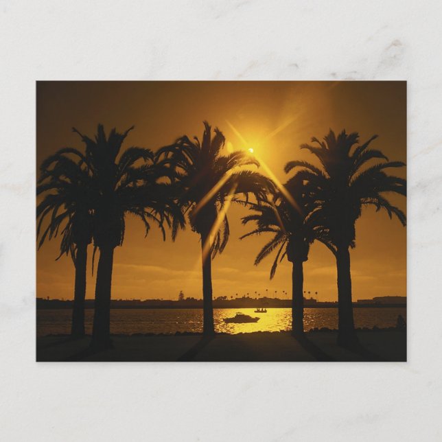 Tropical Sky Background Postcard (Front)