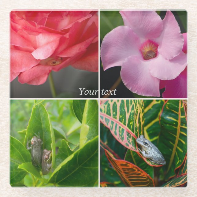 Tropical small tree frogs in flowers and leaves glass coaster (Front)