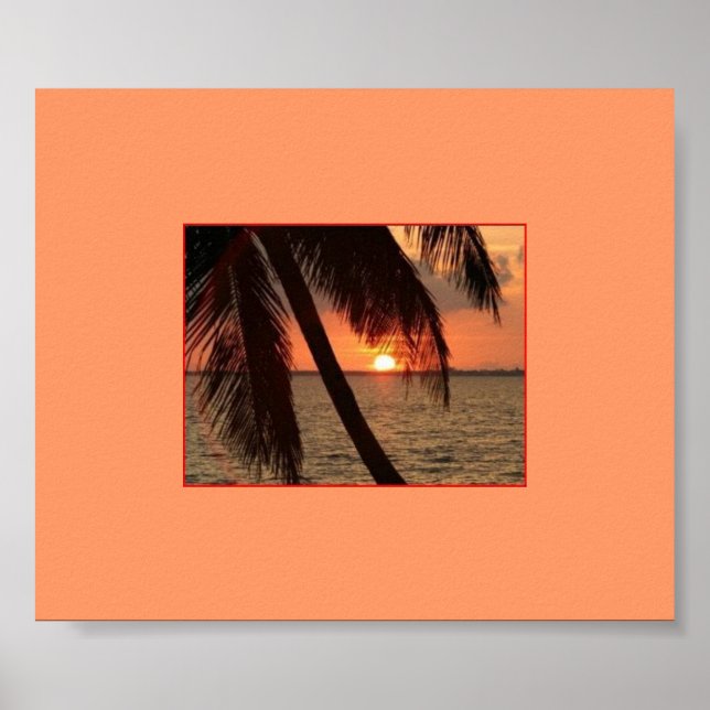 Tropical Splendour Poster (Front)