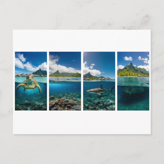 Tropical Split‑View Poster – Underwater & Island L Postcard (Front)