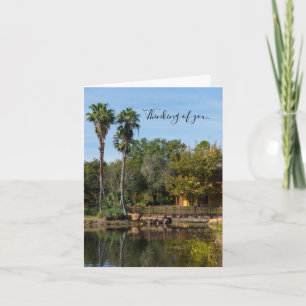 Tropical Springs Paradise Thinking Of You Card