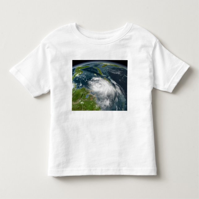 Tropical Storm Dennis Toddler T-Shirt (Front)