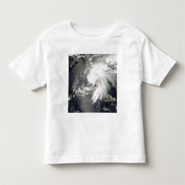 Tropical Storm Fay 2 Toddler T-Shirt (Front)