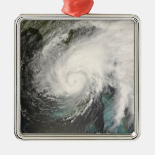 Tropical Storm Fay Metal Tree Decoration