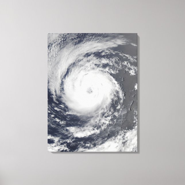 Tropical Storm Guillermo Canvas Print (Front)