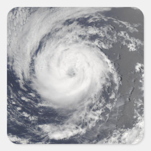 Tropical Storm Guillermo Square Sticker