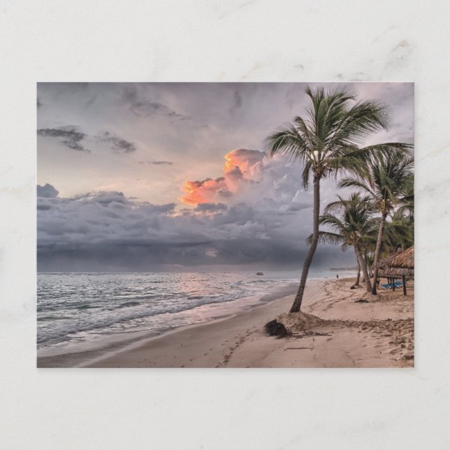 Tropical Storm Incoming Postcard (Front)