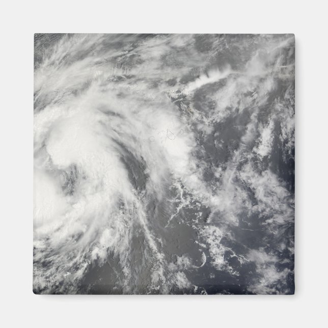 Tropical Storm Josephine Magnet (Front)