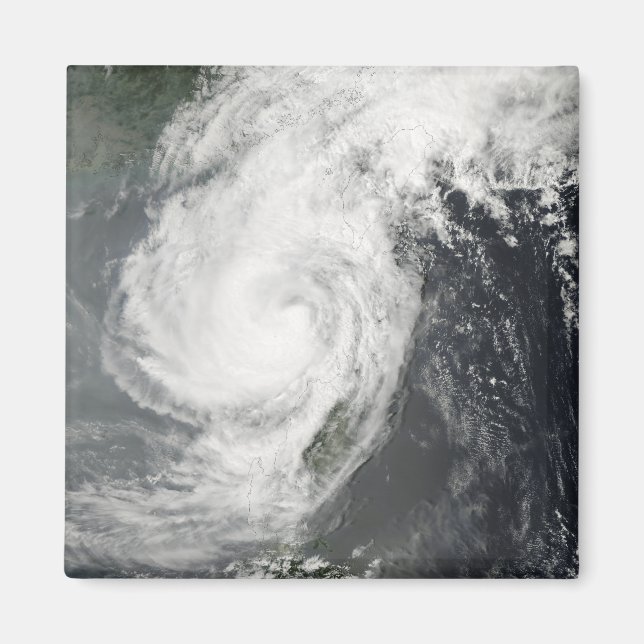 Tropical Storm Parm Magnet (Front)