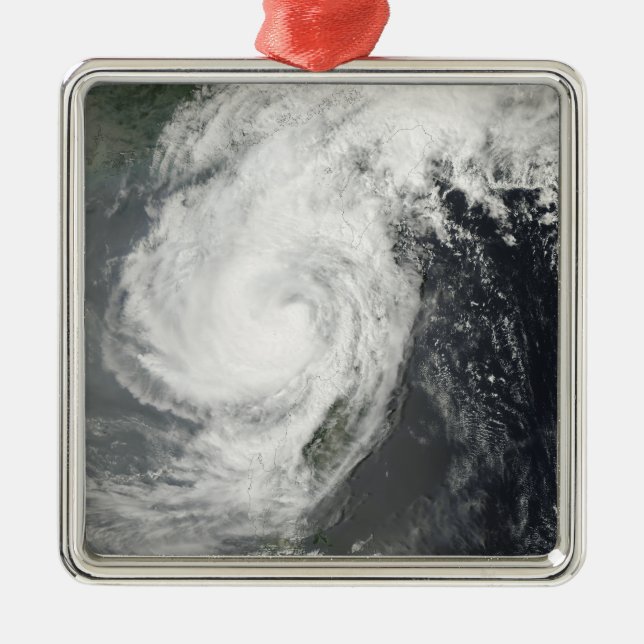 Tropical Storm Parm Metal Tree Decoration (Front)